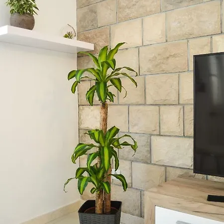 House Riva Завалатица