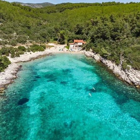 House Riva