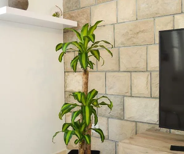 House Riva Zavalatica