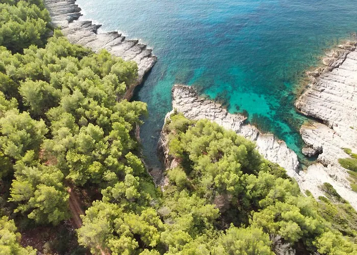 House Riva בית נופש